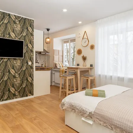 In The Heart Of Paernu, Free Parking! * Parnawa