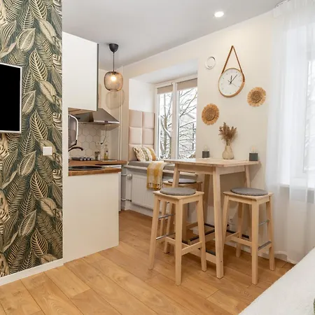 In The Heart Of Paernu, Free Parking! * Parnawa